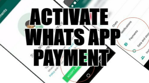 How to Activate Whats App payment