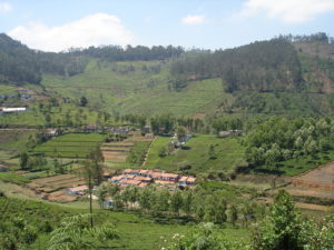 Places to visit in Yelagiri hills
